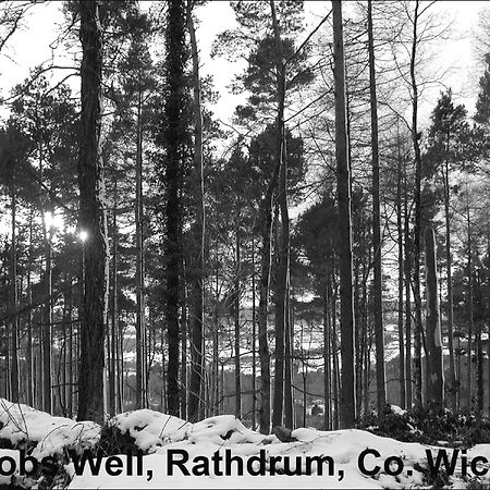 Jacob'S Well Hotel Rathdrum Buitenkant foto