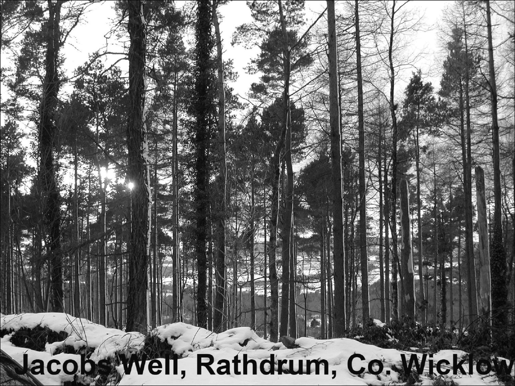 Jacob'S Well Hotel Rathdrum Buitenkant foto